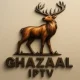 GHAZAAL IPTV offers powerful, smooth, and reliable IPTV streaming with access to 10,000+ live TV channels and a massive VOD library. Enjoy premium content from Arabic, UK, USA, Indian, Turkish, and European sources in HD & 4K quality, optimized for fast servers and stable performance. GHAZAAL IPTV – 10000+ Live Channels & 4K VOD With FIFA World Cup 2026