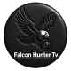 A black circular logo featuring an eagle holding a soccer ball, with the text "Falcon Hunter TV" below.